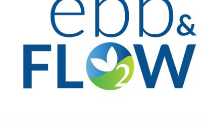 Ebb and Flow- 3 great reasons to do a Yoga Flow Class