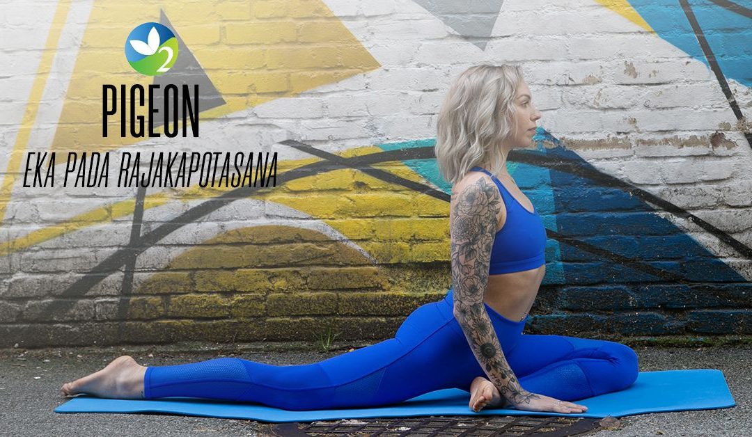 Pose of the Week Guide: Pigeon Pose