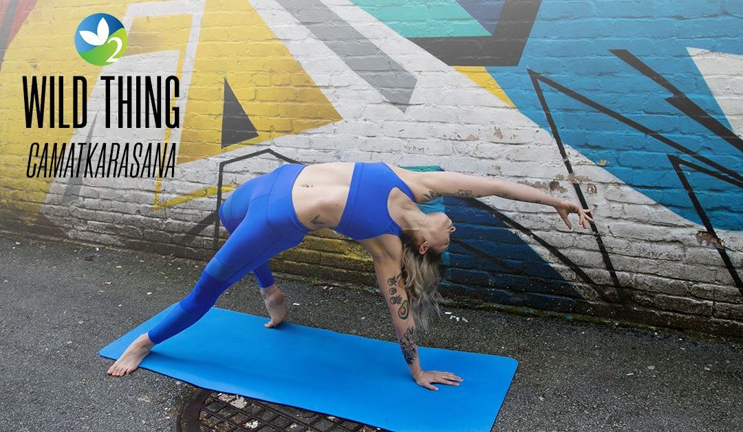 Pose of the Week Guide: Wild Thing Pose
