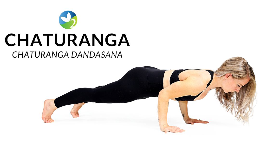 Pose of the Week Guide: Four Limbed Staff Pose (Chaturanga Dandasana)