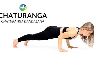 Pose of the Week Guide: Four Limbed Staff Pose (Chaturanga Dandasana)