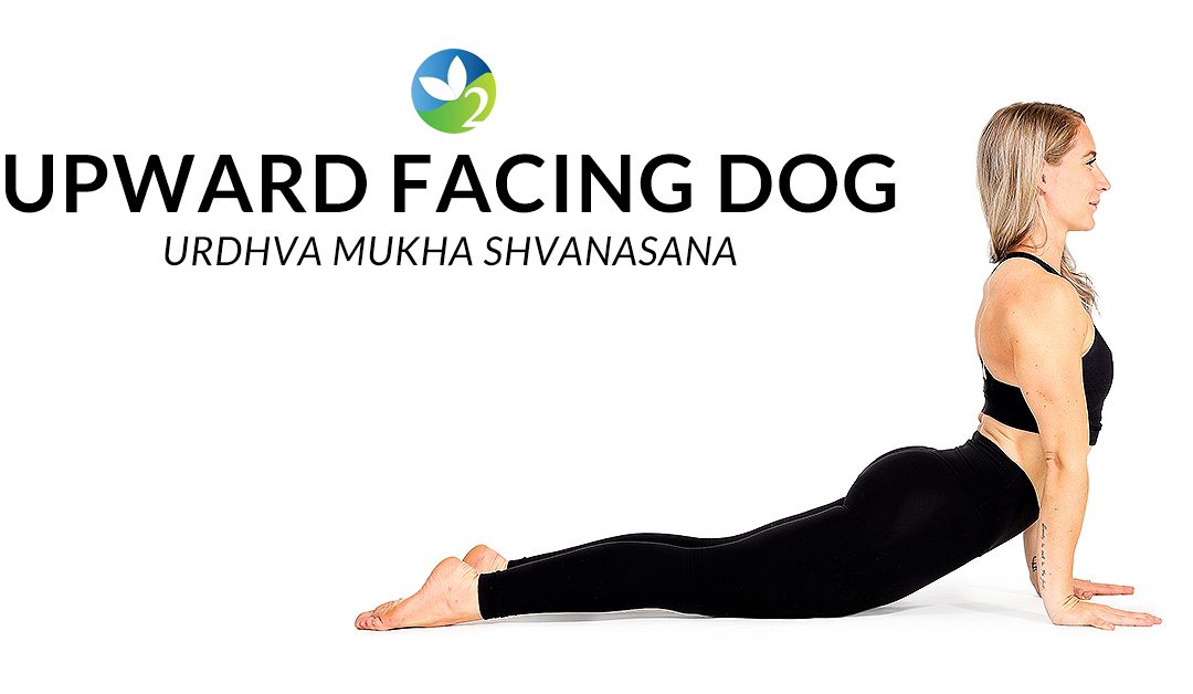 Pose of the Week Guide: Upward Facing Dog Pose
